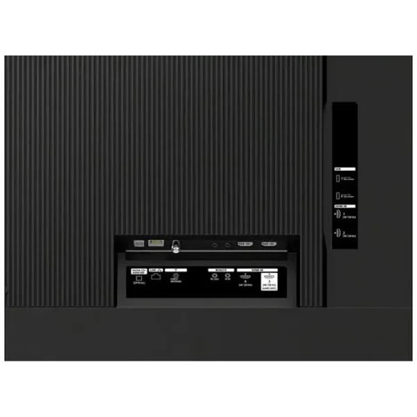 Bravia 3-II S30M2 g2 Bravia 3-II S30M2 back ports closeup image